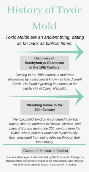 When Were Toxic Molds Discovered - History #2338274