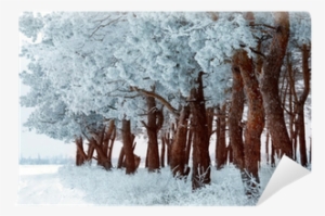 Winter Forest With Frost On The Trees And Snowflakes - Snow Bridge #2338673