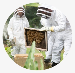 There Has To Be A Better Way - Beehive Design Australia #2338803