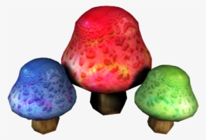 File - Fungi - Wiki #2339229