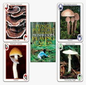 Fp's Original Mushroom Playing Cards - Playing Card #2339254