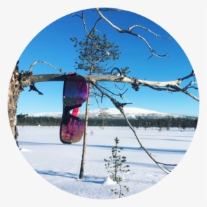 Blog 5 - Snow #2339315