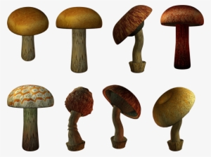 Free Png Mushroom Png Images Transparent - Mushroom #2339482