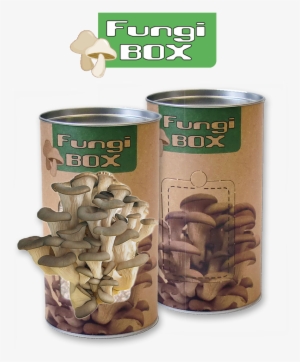 Feel Green Fungi Box - Züchte Deine Eigenen Speisepilze #2339656