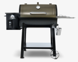 Pitboss 440d #2339678