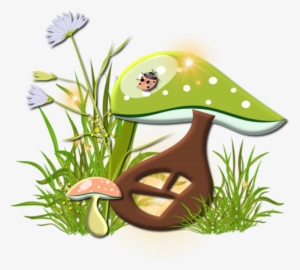 Champignons - Page - Mushroom #2339743