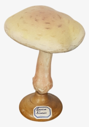 Three Fungi Sculptures - Penny Bun #2339791