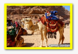 3-part Cards Of The 7 Continents - Petra #2339932