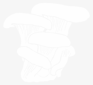 Fungi - Hand #2339935