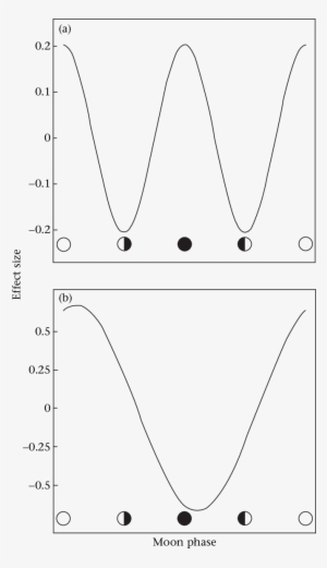 Time Budget Allocation At Various Moon Phases - Line Art #2340208