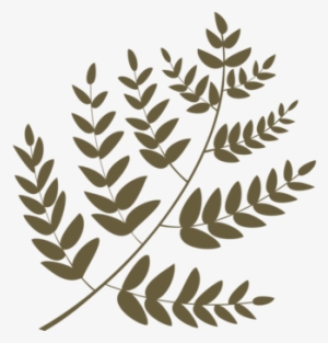 Leaf Twig Mango Plant Stem Fruit - Leaf #2340523