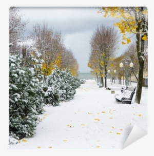 Snow Storm Wall Mural • Pixers® • We Live To Change - Storm #2340684