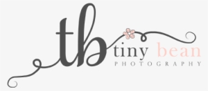 Newborn And Baby Photography - Pennsylvania #2342221