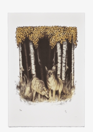 Coyote And Birch - Jackal #2342741