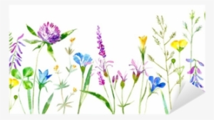 Buttercup, Grass,lobelia,spike - White Background Grass Flower #2342793