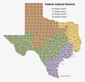 Texas Senate Election Day #2343122