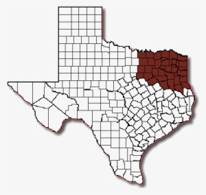 Texas-map - Texas Counties Svg #2343233