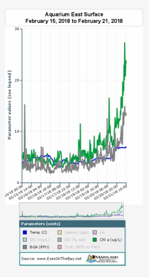 Chorophyll Spike Feb - Diagram #2343269