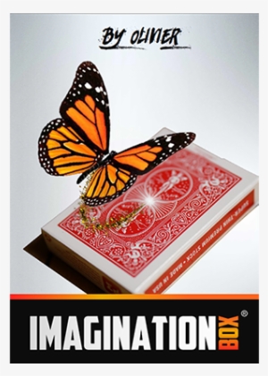 61365-full - Imagination Box By Olivier Pont #2347548