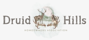 History Of Druid Hills Florissant Colorado - Colorado #2347743