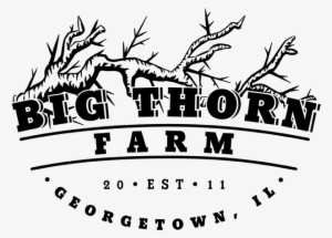 Big Thorn Farm Logo - Mks Czarni Jelcz Laskowice #2348294