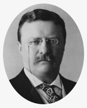 Theodore Roosevelt Oval - Bullet Can T Stop A Bull Moose #2348998