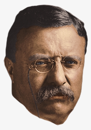 Theodore Roosevelt #2349037