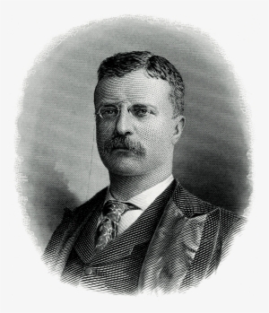 President Theodore Roosevelt - Theodore Roosevelt New York Governor #2349224