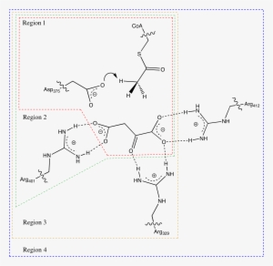 Url - Http - //data - Bris - Ac - Images/ Structure - Diagram #2349242