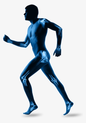 Img Indications - Indications Of Shock Wave Therapy #2349245