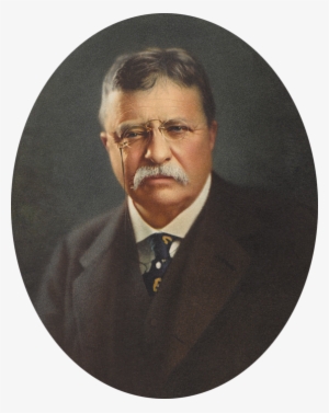 Bleed Area May Not Be Visible - Theodore Roosevelt #2349246