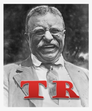 Theodore Roosevelt Takes Office - Teddy Roosevelt #2349305