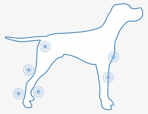 Technology - Shock Wave #2349351