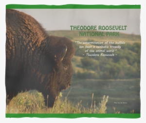 Bison Fleece Blanket - Grass #2349455