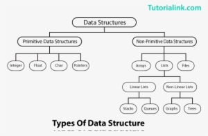 Primitive And Non-primitive Data Structures - Primitive And Non ...