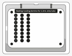 Domino - Electronics #2350219