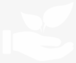 Hand Plant Farming - Plant Icon White Png #2350345