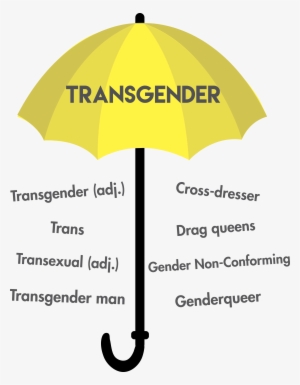 Graphic By Jacqueline Lin - Transgender Representation In The Media #2350747