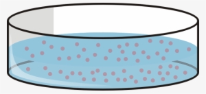 Small - Petri Dish Clip Art #2350834