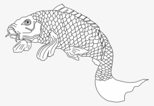 Koi Fish Sketch Black White - Drawing #2350857