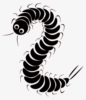 Centipede - School #2351023