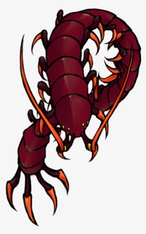 Centipede #2351093