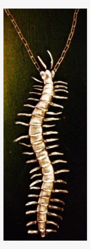 Centipede Necklace #2351147
