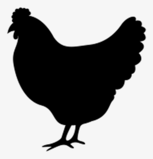 Chicken Icon #2352109