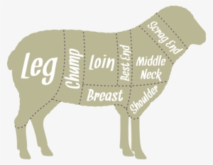Our Butchers Hang The Lambs For 7 Days Which Releases - Lamb On Spit Drawing #2352858