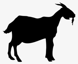 Lamb Comments - Goat Silhouette Vector Png #2353047