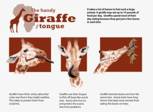 Giraffe Tongue - Tongue #2353049