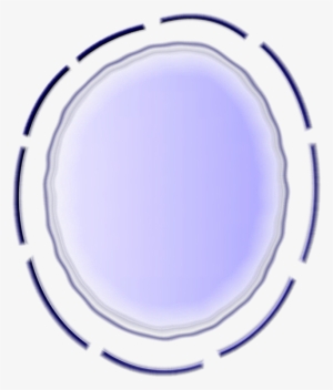 Graphic Library Stock Cell Nucleus Clipart - Prophase #2354453