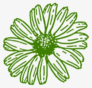 Gerbera Daisy Green Free Graphic On Pixabay - Gerber Daisy Clip Art Free #2354804
