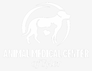 Payment Options - Logo #2356855